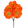 image variant Naranja
