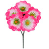 image variant Rosa