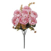 image variant Rosa