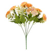 image variant Naranja