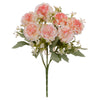 image variant Rosa