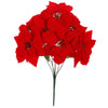 image variant Rojo