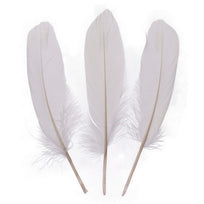 Art.12421 Plumas de Ganzo