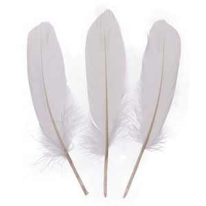 Art.12421 Plumas de Ganzo