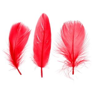 Art.12422 Plumas de Ganzo