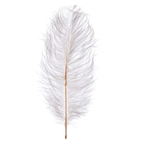 Art.12425 Pluma de Ganzo
