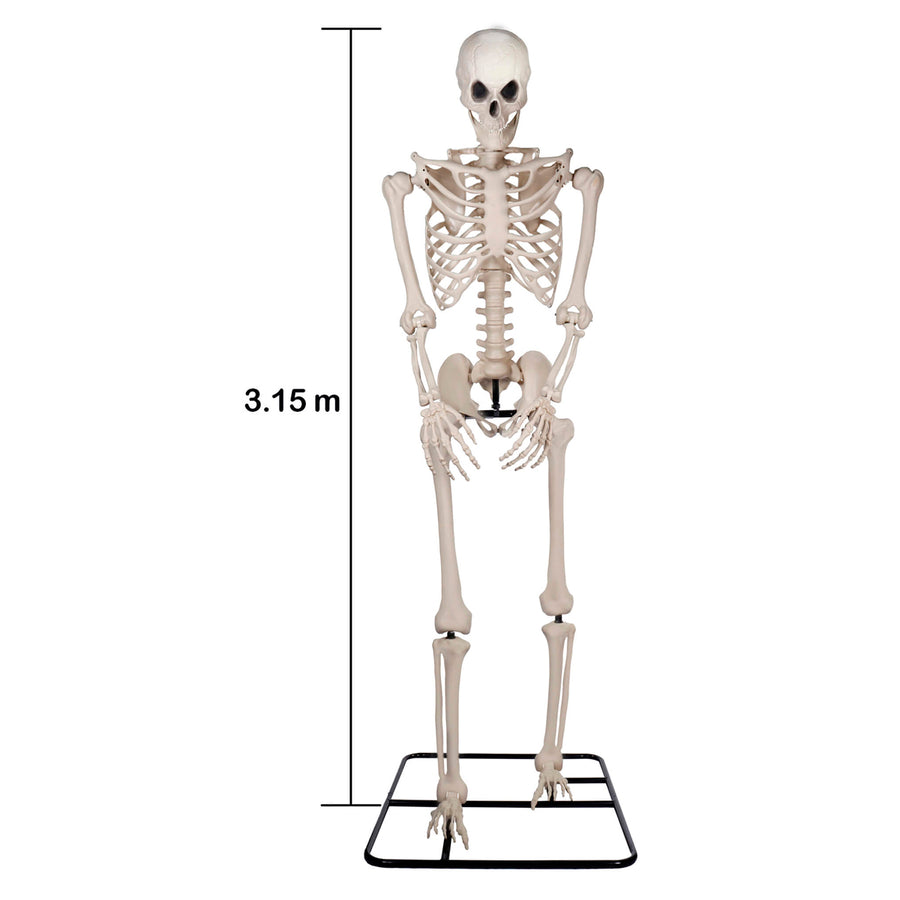 Art.12625 Esqueleto Plastico 315cm 1pz