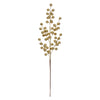 image variant Oro