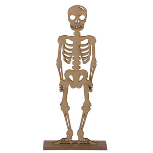 Art.1902 Esqueleto 23x6cm
