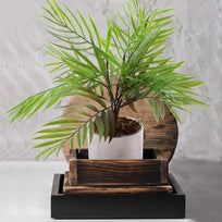Art.2012 Planta Bambú  x13 43cm 1pz
