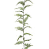 image variant Verde