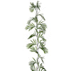image variant Verde