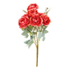 image variant Cereza