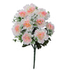 image variant Rosa