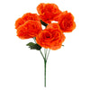 image variant Naranja