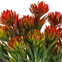 Art.2568 Plantita x5 Color Especial 30cm 1pz