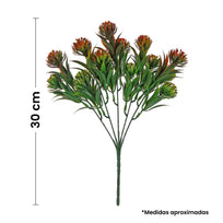 Art.2568 Plantita x5 Color Especial 30cm 1pz