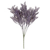 image variant Lavanda