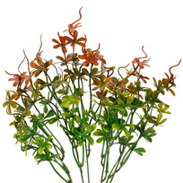 Art.2608 Plantita x5 Color Especial 41cm 1pz