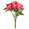 image variant Rosa