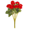 image variant Rojo