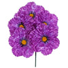 image variant Morado