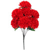 image variant Rojo