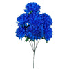 image variant Azul