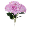 image variant Lavanda