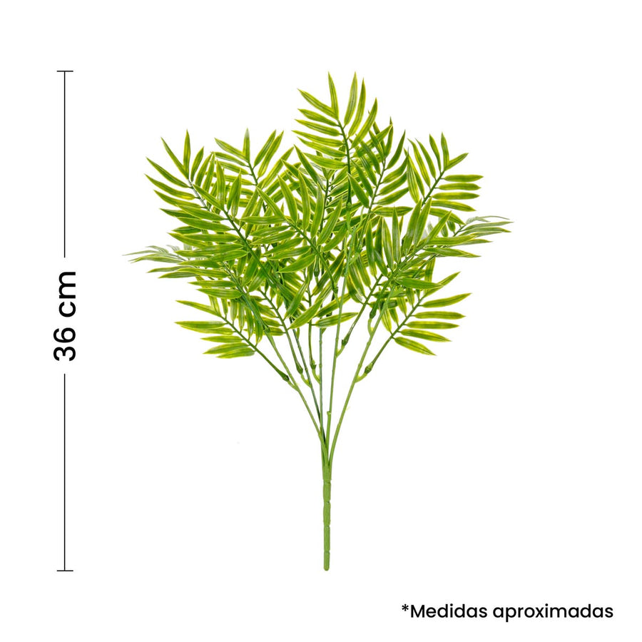 Art.2993 Planta Fina x5 36cm 1pz