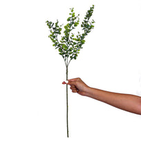 Art.3053 Vara De Eucalipto x3 66cm 1pz
