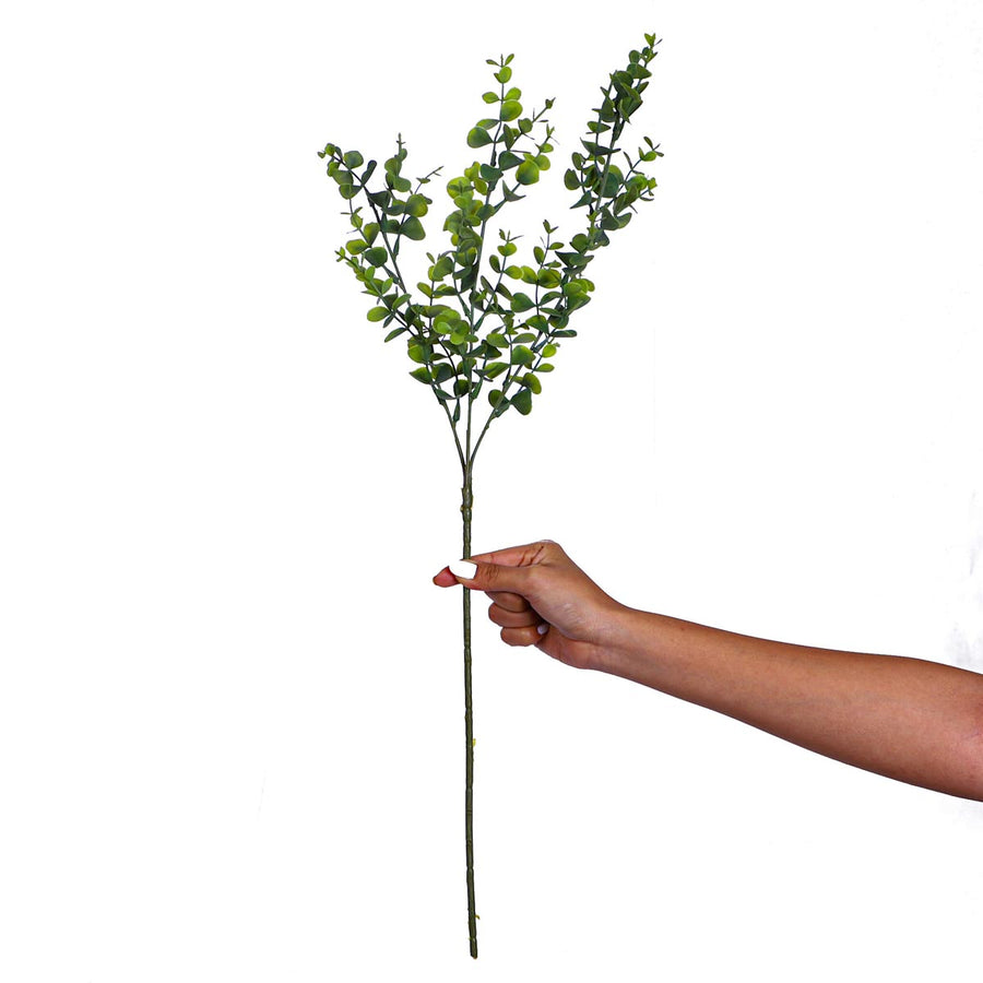Art.3053 Vara De Eucalipto x3 66cm 1pz
