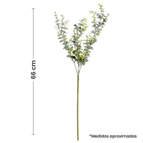 Art.3053 Vara De Eucalipto x3 66cm 1pz