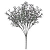 image variant Lavanda