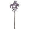 image variant Lavanda