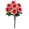 image variant Rosa