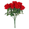 image variant Rojo