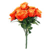 image variant Naranja