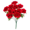 image variant Rojo