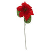 image variant Rojo
