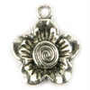 image variant Plata Antigu