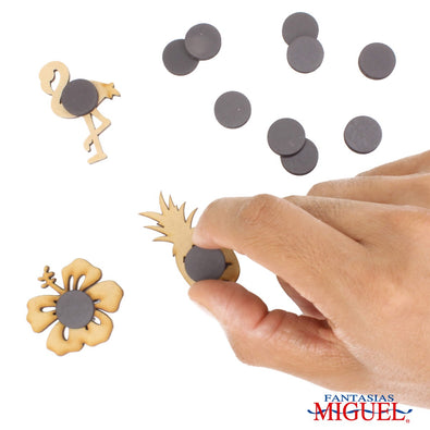 Fantasías Miguel Art.5741 Imanes Redondos 1.6cm 12pz