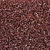 image variant Morado Brill
