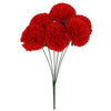 image variant Rojo