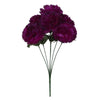 image variant Morado