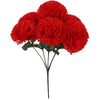 image variant Rojo