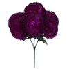 image variant Morado