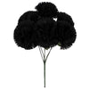 image variant Negro