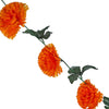 image variant Naranja