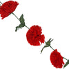 image variant Rojo